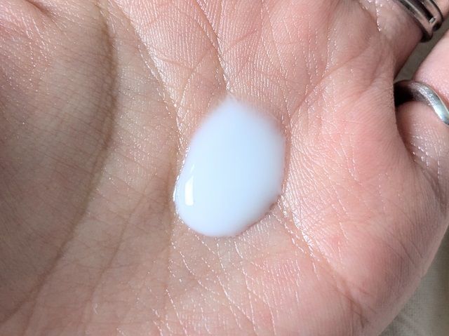 オルビスの写真