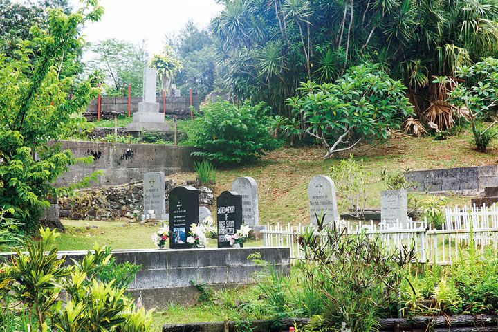 小笠原諸島の大根山墓地