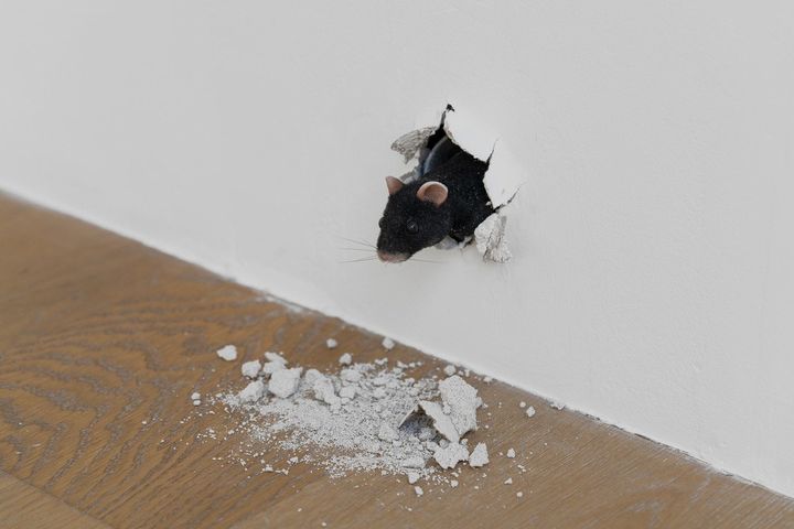 © SONGEUNArtandCulturalFoundationandtheArtist.Allrightsreserved.