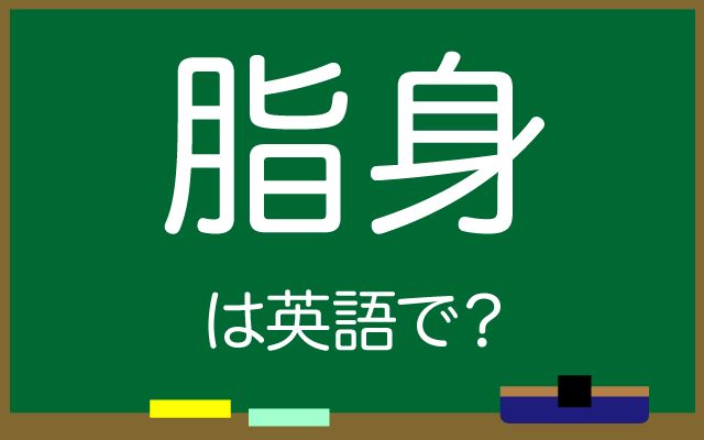 英語で【脂身】は何て言う？「ベーコンの脂身」などの英語もご紹介