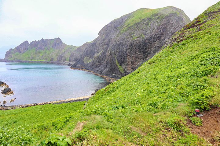 礼文島