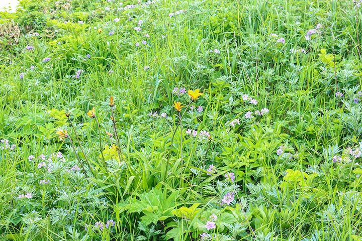 仙法志御崎公園