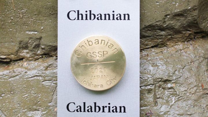 ヒュンメルがチバニアンシャツを発売！ジェフユナイテッド千葉が今夏着用した限定ユニフォームがTシャツに