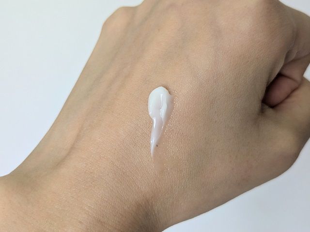 ディセンシアの写真