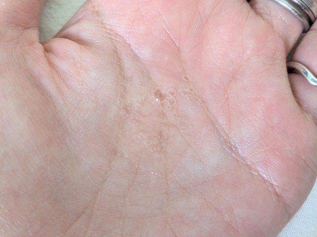 ディセンシアの写真