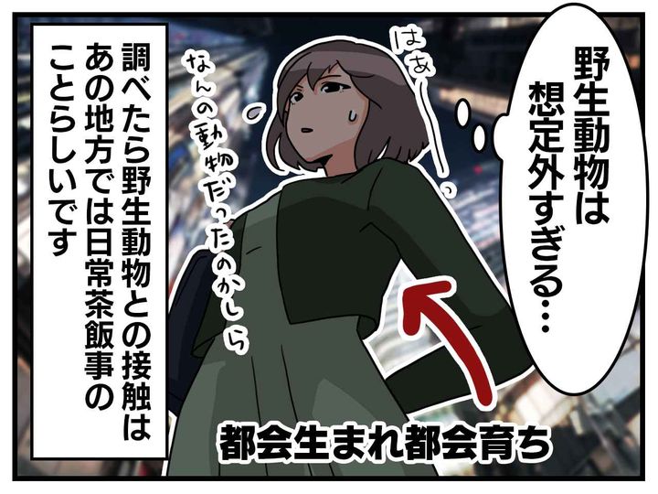 画像4: 緊急停止……えっ？