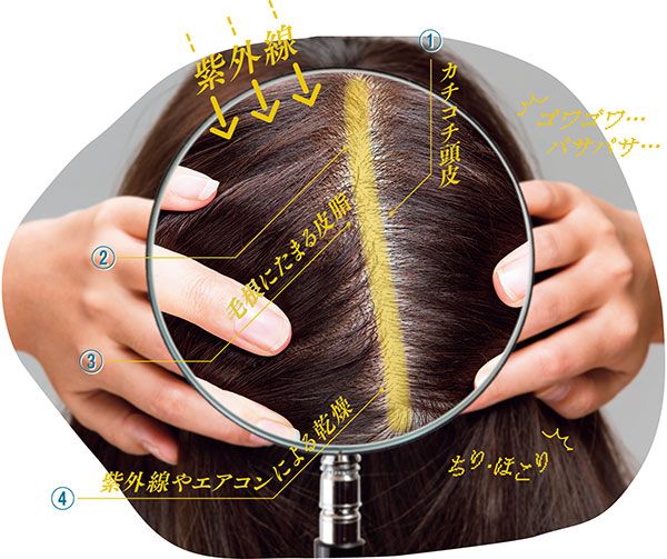 紫外線 ゴワゴワ…パサパサ… ちり・ほこり カチコチ頭皮 毛根にたまる皮脂 紫外線やエアコンによる乾燥