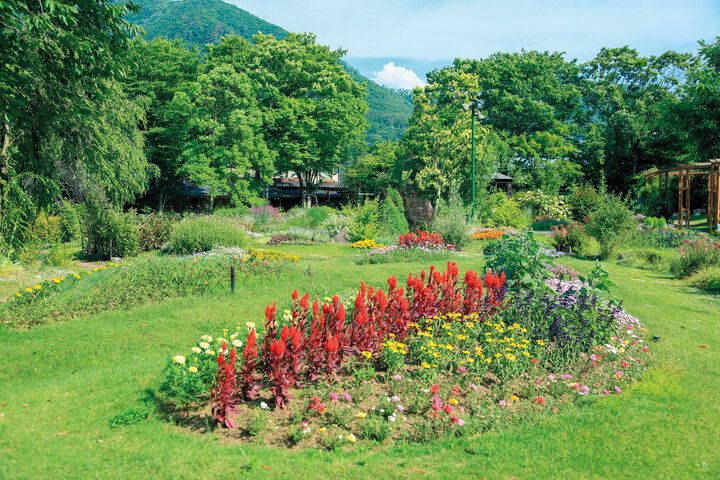 【2024年秋 イヴルルド遙華の12星座占い】～今年最後のタームがスタート♪流れを引き寄せる秘密がココに～