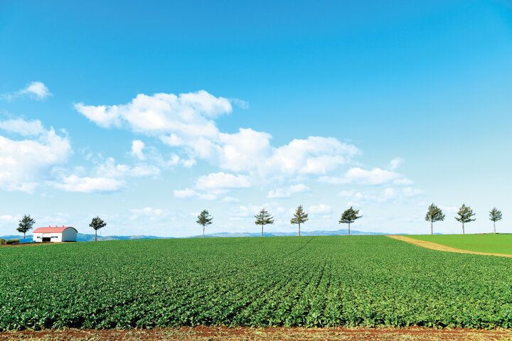 【2024年秋 イヴルルド遙華の12星座占い】～今年最後のタームがスタート♪流れを引き寄せる秘密がココに～
