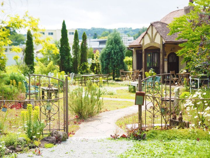 【2024年秋 イヴルルド遙華の12星座占い】～今年最後のタームがスタート♪流れを引き寄せる秘密がココに～