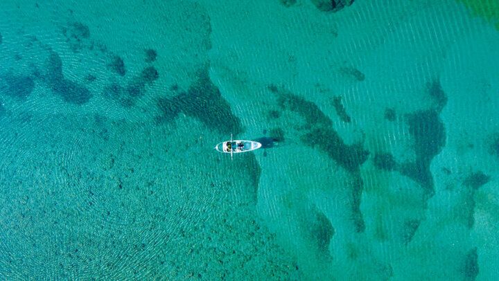 【2024年秋 イヴルルド遙華の12星座占い】～今年最後のタームがスタート♪流れを引き寄せる秘密がココに～