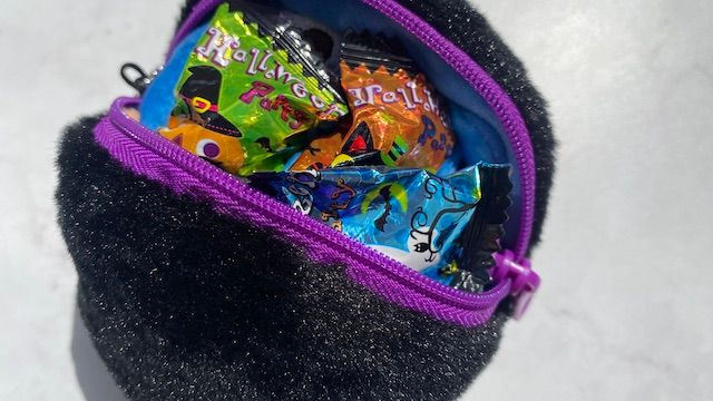 カルディ ハロウィン お菓子 ネコ 猫ポーチ 黒猫 キャンディ 中身