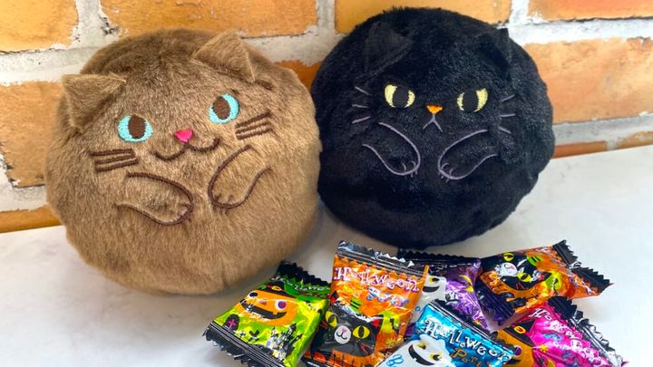 カルディ ハロウィン お菓子 ネコ 猫ポーチ 黒猫 キャンディ 集合2
