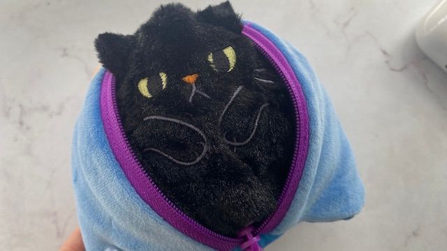 カルディ ハロウィン お菓子 ネコ 猫ポーチ 黒猫をしまう