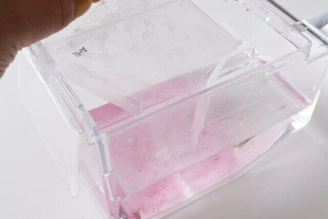 ダイソー 氷clean（自動製氷機洗浄剤）3回分 給水タンクに入れる