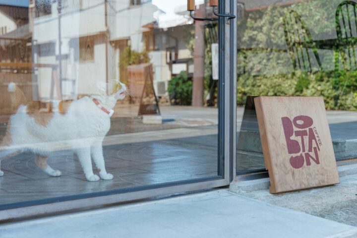 看板猫に会えるかな♪愛知・犬山の「珈琲ボタン」で城下町散策のひと休み