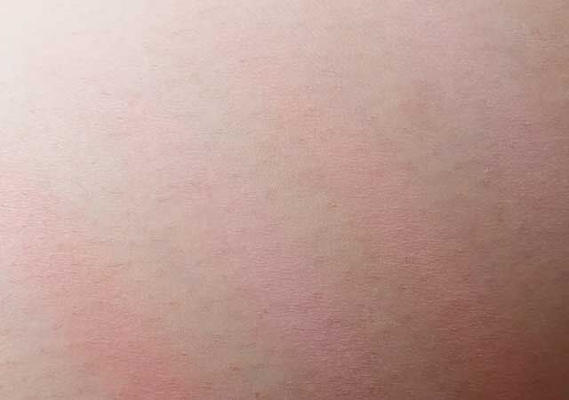 ダイソー UGTブレンディングチークカラーパレット02c スウォッチ