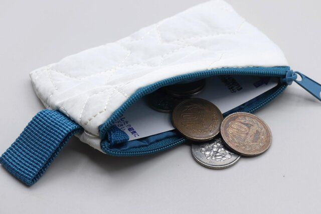 ダイソー マルチミニポーチ 使用例