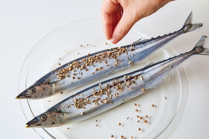 サンマにスパイスと塩をまぶす