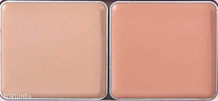 ettusais（エテュセ） 『エテュセ スキンフィッ...