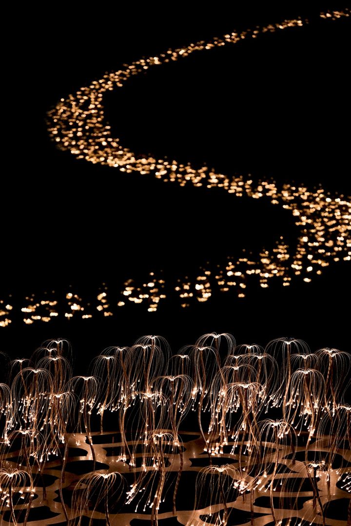 英国人アーティスト、ブルース・マンローの光のインスタレーション「マウンテンライツ」。 Copyright_ 2024 Bruce Munro. All rights reserved.