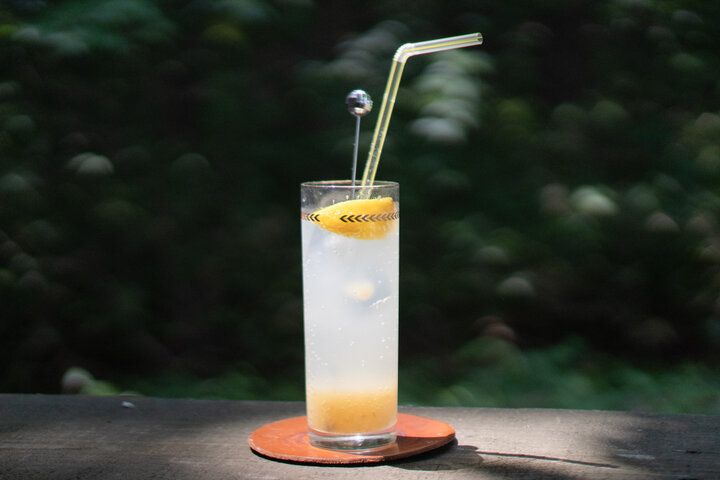 美瑛の大地の恵みを一皿で！森の中のグラタン専門店「VIVA食堂」