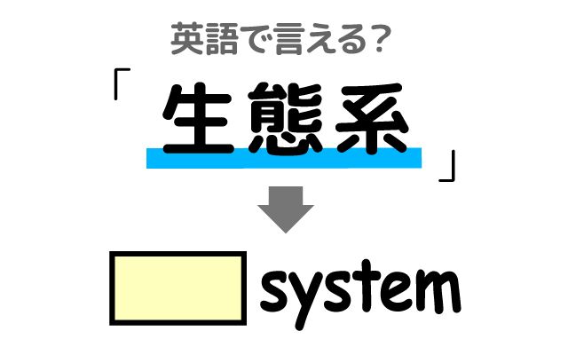 英語で【生態系】は何て言う？「森の生態系」などの英語もご紹介