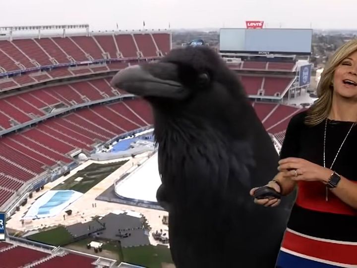 近い！近いよ！