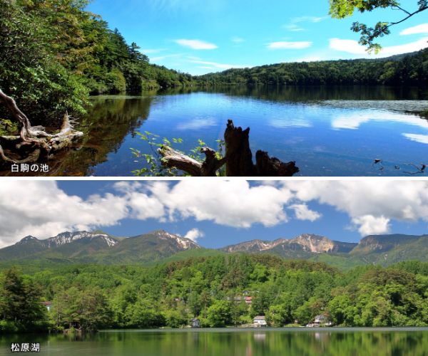 道の駅で本格的なロッククライミング体験ができる！「モンベル」が八ヶ岳・奥秩父エリアに新店舗をオープン