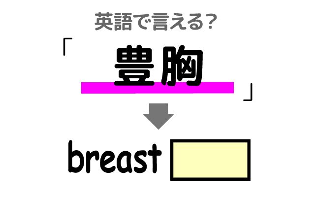 英語で【豊胸】は何て言う？「豊胸手術を受ける」などの英語もご紹介