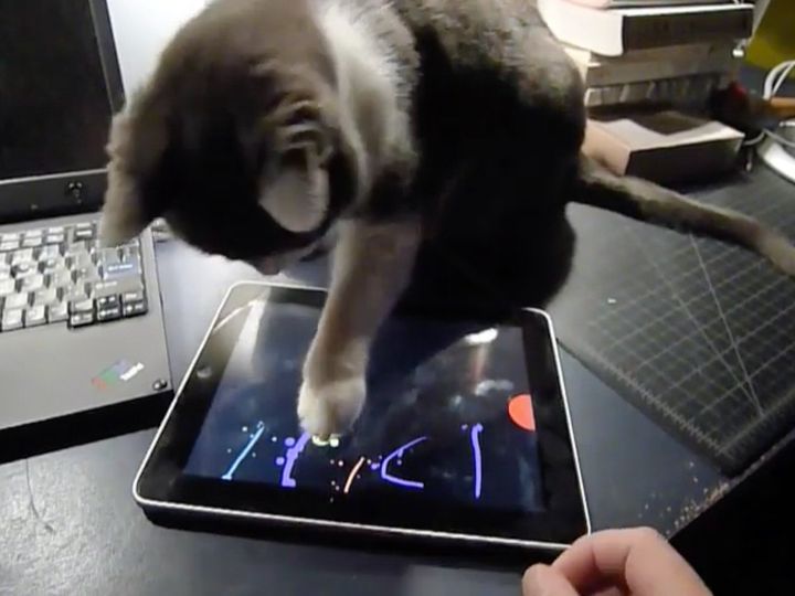 猫が絵を描いてる！？