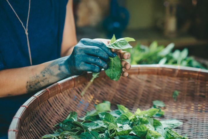 Photo_ Courtesy of AIueO