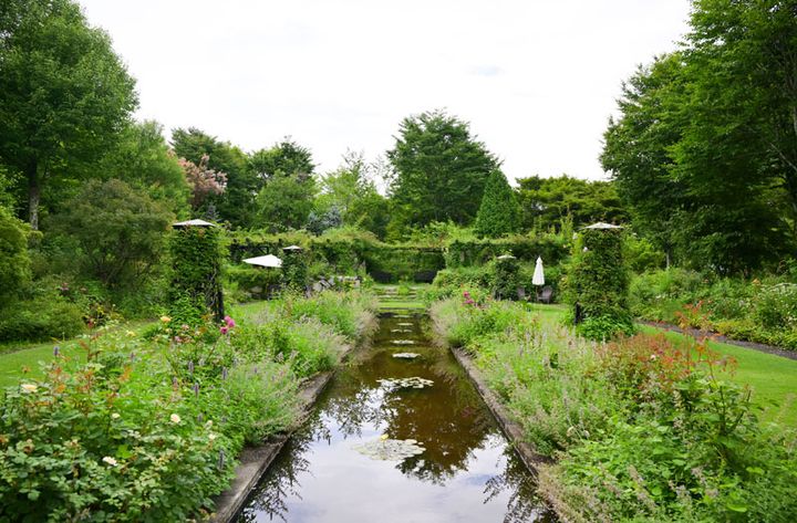 湖に浮かぶウッドランドにあるエリア