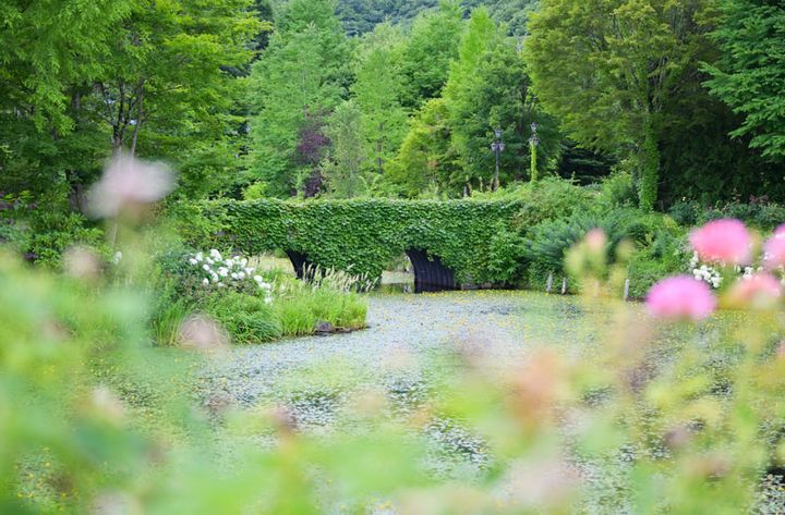 バラだけでなく、可憐な野の花もとても愛らしい。蔦の絡まるめがね橋も絵になります