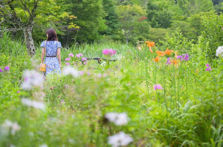 おとぎ話の世界に迷い込んだみたい