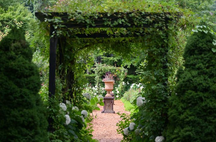 アーチに絡まるグリーンに心が洗われるよう