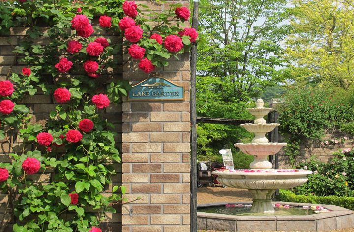 ローズシーズンにはエントランスにも華麗なバラが