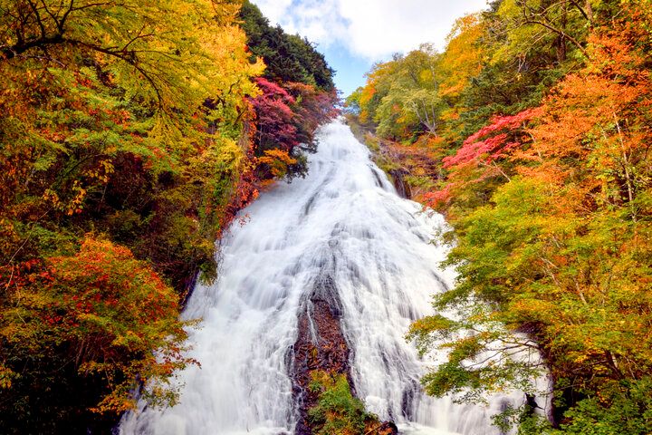 きらめく星空と乳白色の温泉でほっこり♪ 奥日光の癒やし旅