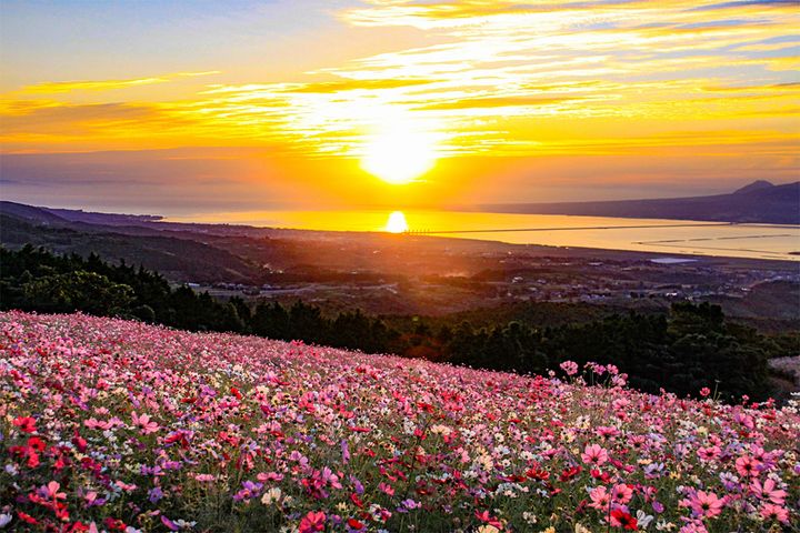 昼と夜の長さが同じになると言われる「秋分の日」実際は……