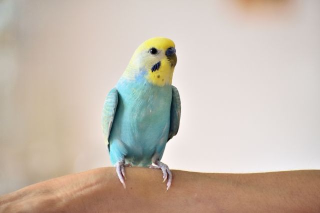 大人の心理テスト グサッと来るひとこと