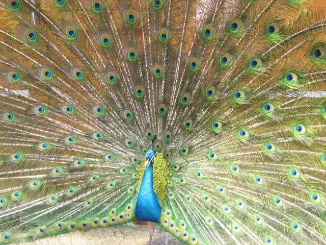 心理テスト あなたが傷つくひとことは？