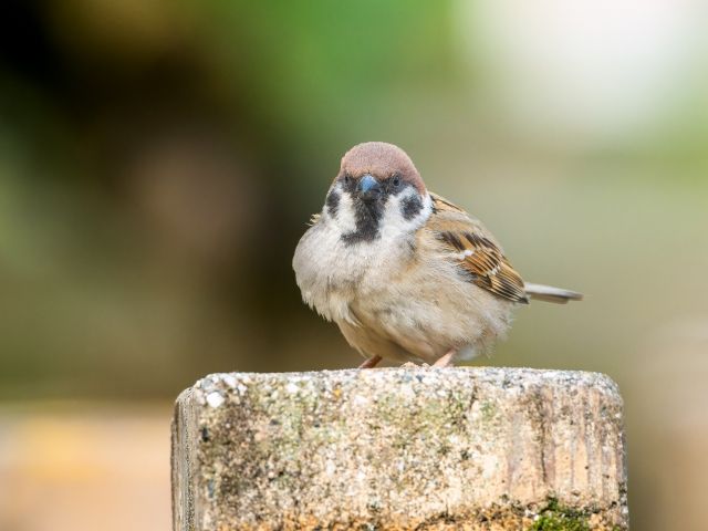 大人の心理テスト 傷つくひとこと