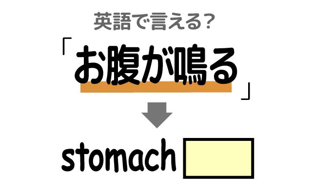 英語で【お腹が鳴る】は何て言う？「会議中に」などの英語もご紹介