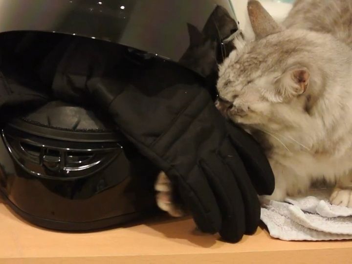 嗅がずにはいられない！？