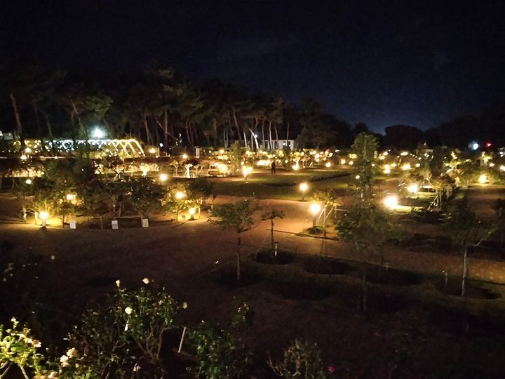 敷島公園門倉テクノばら園