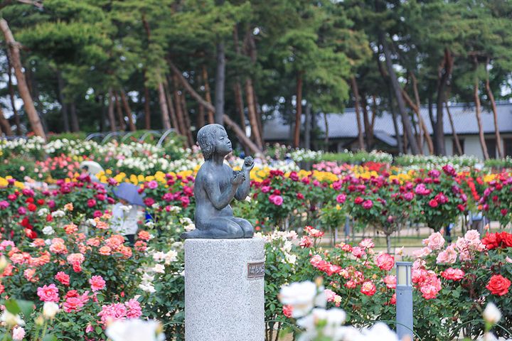 敷島公園門倉テクノばら園