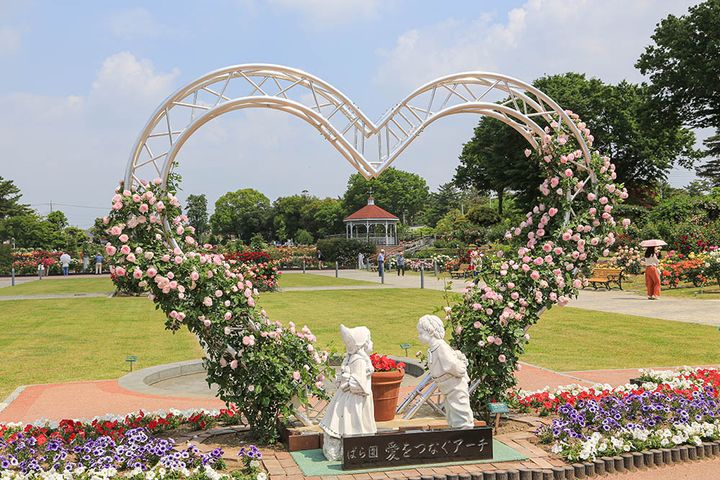 敷島公園門倉テクノばら園