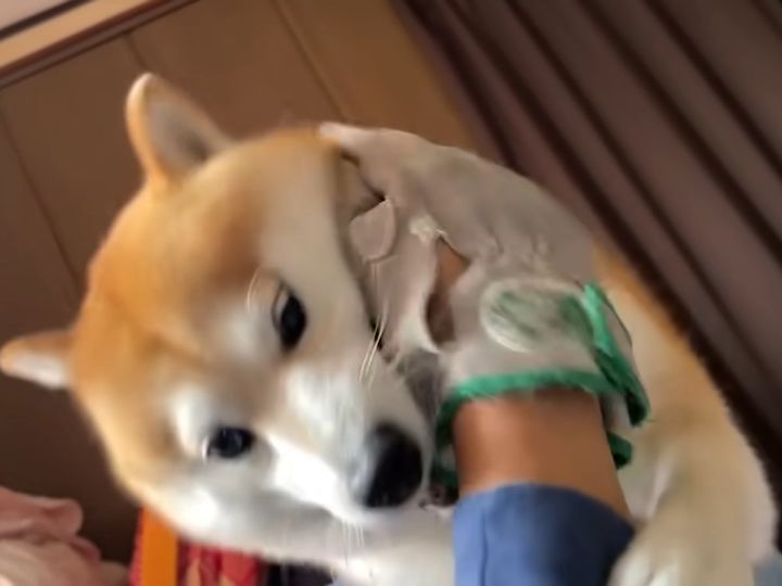 この後、様子が激変！？