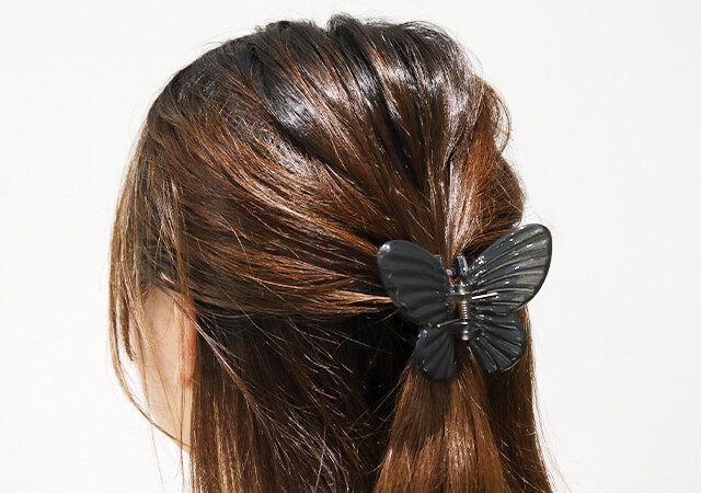 ダイソー バンスクリップ（グロッシー、蝶） 使用例