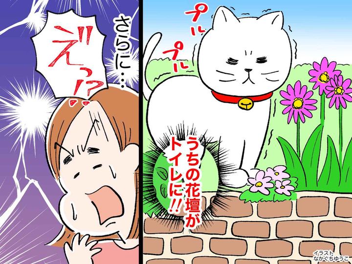画像: ご近所さんの猫が、うちの花壇をトイレ扱い！「もうやめて（泣）」さらなる猫トラブルが待っていた